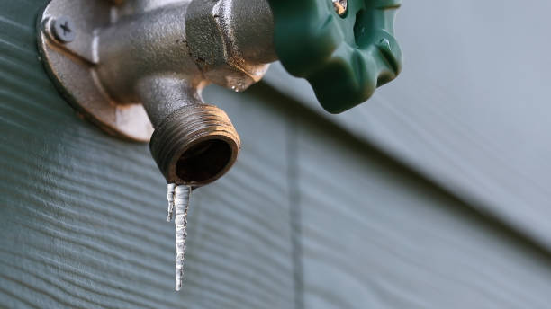 Best Sprinkler Systems  in South Gate Ridge, FL